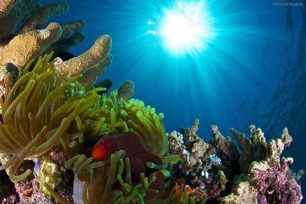 在未來世界裡地球會被海洋給佔領嗎？