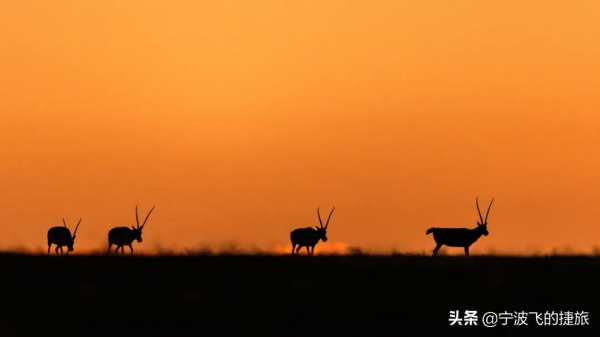 美國黃石的13倍！我國首批國家公園正式官宣，驚豔世界的風景來了