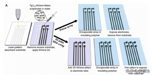 用於多尺度電生理學和刺激的 Mxene柔性電極 注入生物電子介面 用於多尺度電生理學和刺激的 Mxene柔性電極 注入生物電子介面
