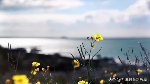 世上沒有擺渡人，人生這條河，你得自己渡