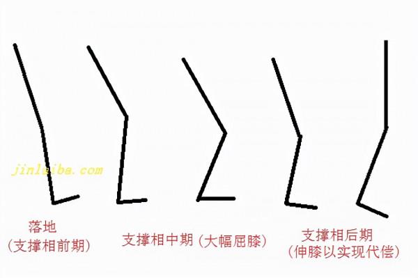 什麼是膝塌陷步態