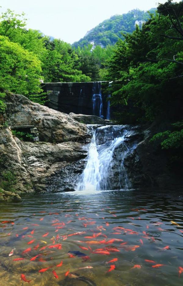 青山綠水一大自然的風景