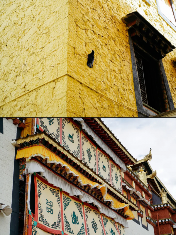 香格里拉誰不想去？但我有幾點提醒