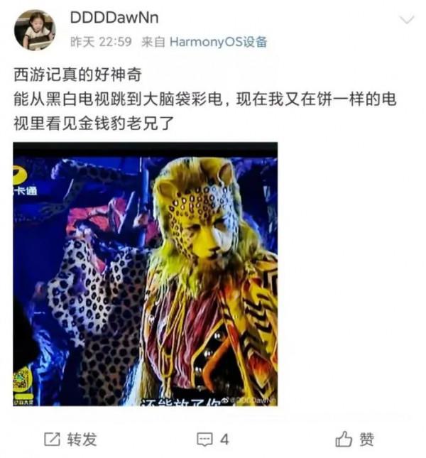 虎年說豹：祝大家新年&OpenCurlyDoubleQuote;豹富&rdquo;