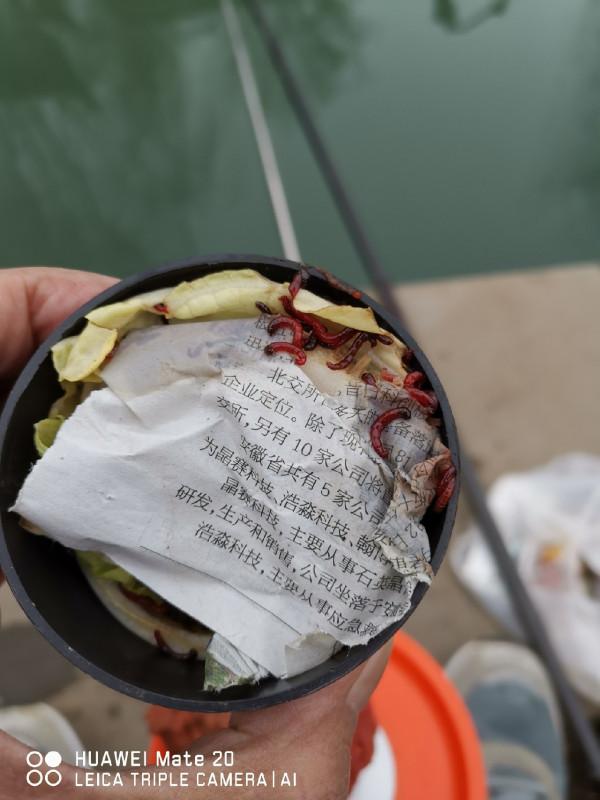 與小雜魚鬥智鬥勇,拼比毅力和耐性 與小雜魚鬥智鬥勇,拼比毅力和耐性