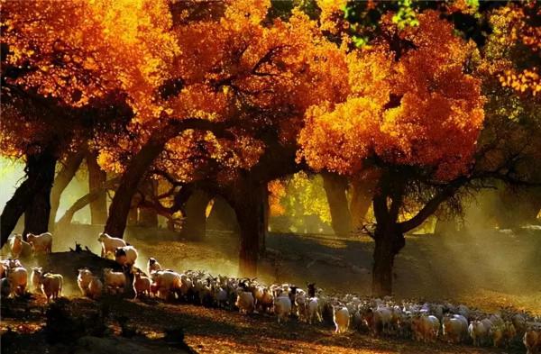 醉美中國，在秋天