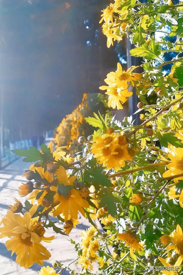 秋天的第一場旅行，你可以去這6個地方。一入秋，他們就變色了…