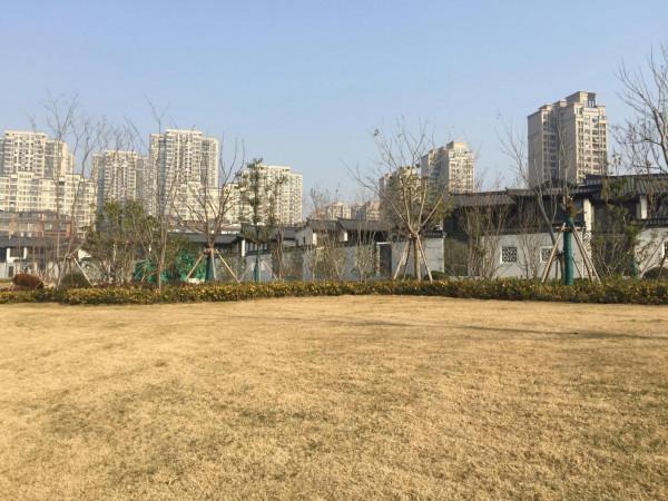 天氣好，出來轉轉，呼吸新年的空氣