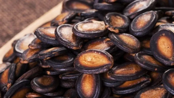 古今中外嗑瓜子都“上癮”,原來是有科學依據的 古今中外嗑瓜子都“上癮”,原來是有科學依據的