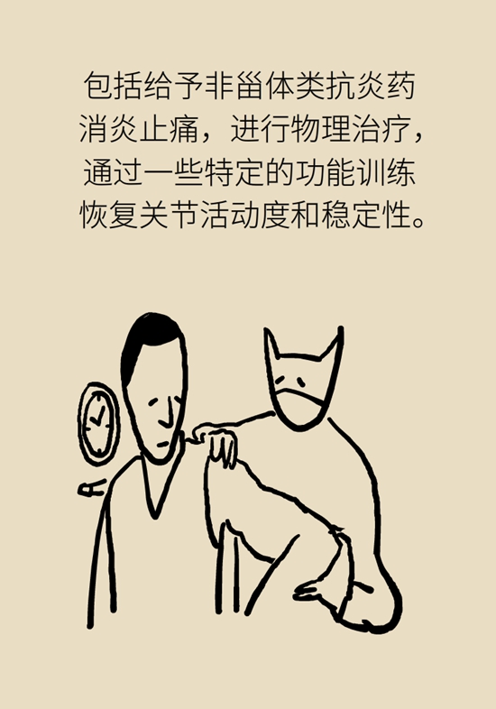 健身房裡最常發生的肩痛，該怎麼應對？