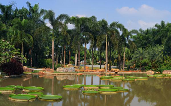 廣西又一景區走紅，全景區由18座大小嶺組成，距市中心30分鐘車程