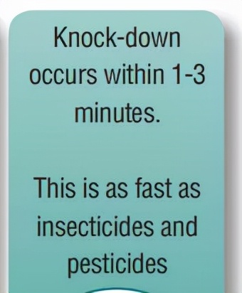 貓狗驅蟲,化學和精油之外,還可以物理驅蟲 貓狗驅蟲,化學和精油之外,還可以物理驅蟲