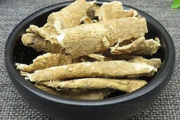 瞭解對藥黨參配椿根皮的功效，跟我學好中藥