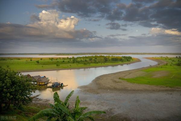 亞馬遜這種魚真聰明，為了獲取食物，竟然讓猴子為它做嚮導