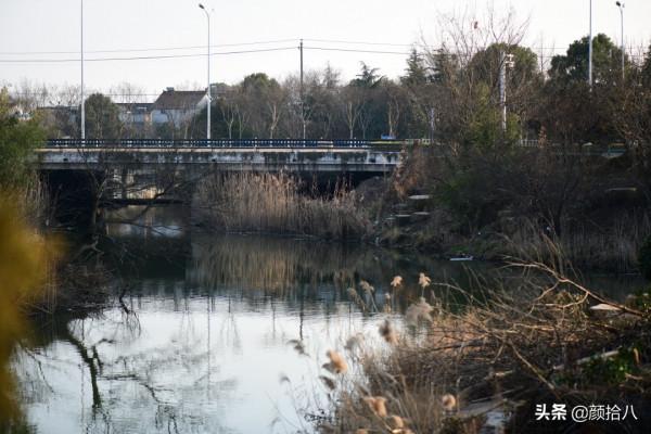 萬物起始，立春暖陽下，等待花園甦醒 &vert; 園丁