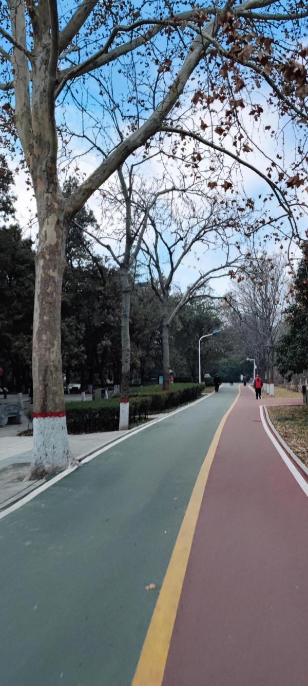 運動打卡繼續中