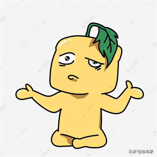 大眾車的異類，開了十二年的旅行車還能賣18萬！保值率堪比皇冠？