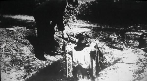 9年間300名男性被害，百年前匈牙利女性組團殺夫，為何沒判死刑？