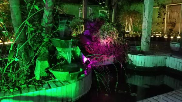 老家的庭院 老家的庭院