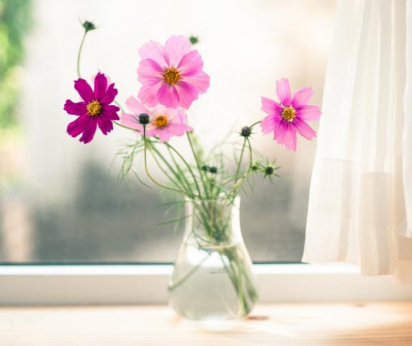 下半年，4個星座，性格溫和，脾氣好，很少與人爭吵，值得深交