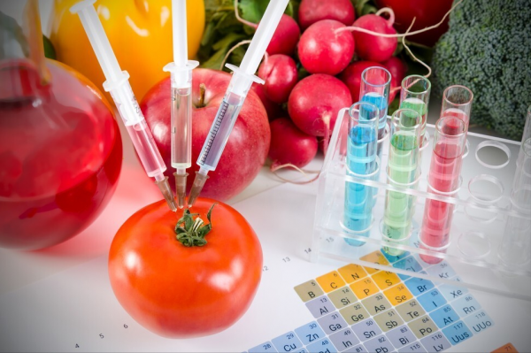 轉基因食品真的不能吃嗎,它的真正問題在哪裡? 轉基因食品真的不能吃嗎,它的真正問題在哪裡?