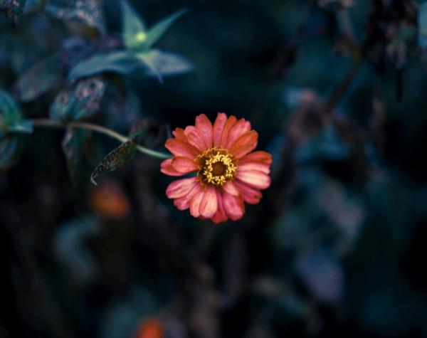 聰明過人，但容易抑鬱的星座：看透了一切，內心卻很孤獨