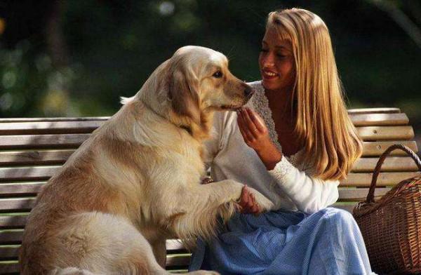 為何狗狗更喜歡女主人？無非就這些原因