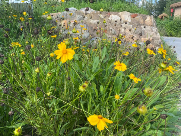 驚豔！海淀這個藝術園區繁花似海，還有戶外音樂營地、親子牧場......滿滿文藝範兒！