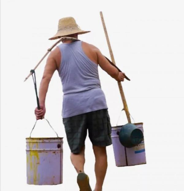 什麼木材適合做扁擔？老木匠用3句話，給出3個不同的答案