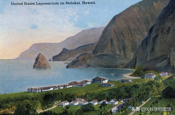 令人聞風喪膽的麻風病，在野生黑猩猩群體首次被發現，意味著什麼