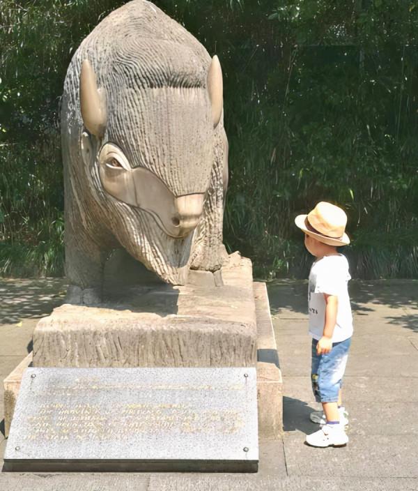 放養不是放任，愛子女必須給子女限制