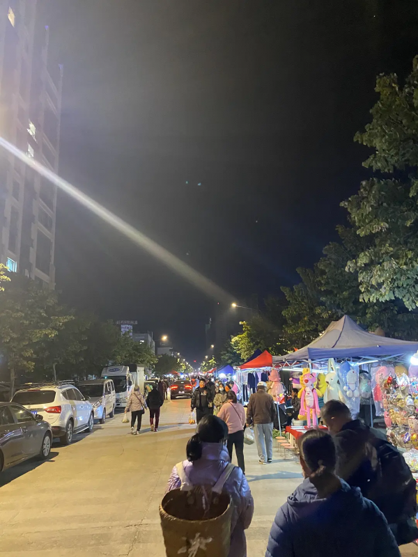 雲南紅河蒙自，大樹寨夜市