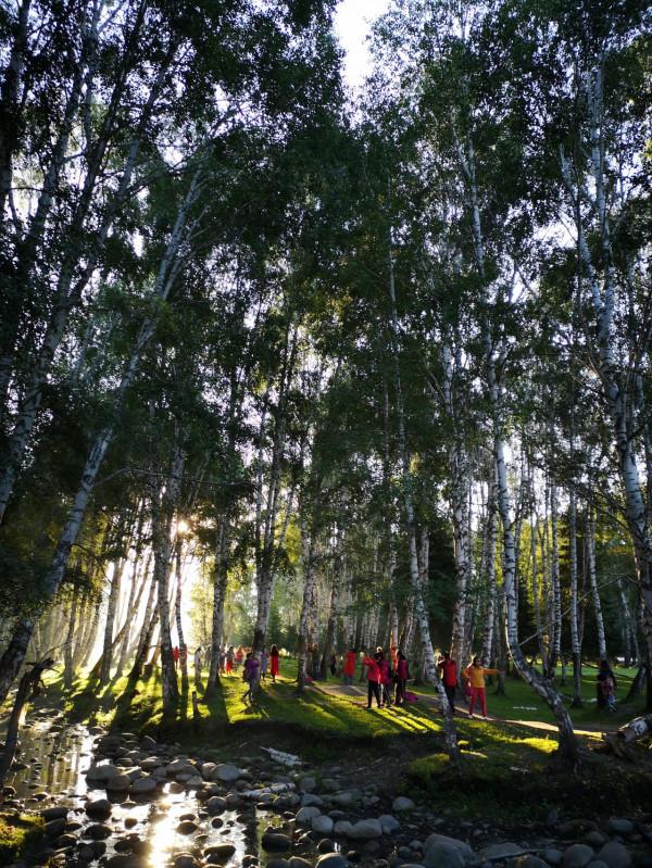 大美新疆（三）：遇見-禾木