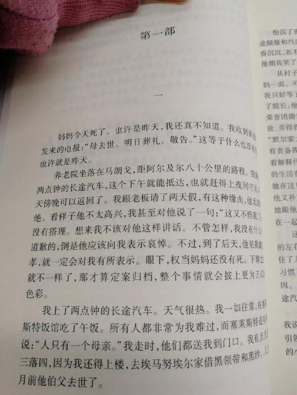 淺談《局外人》 淺談《局外人》