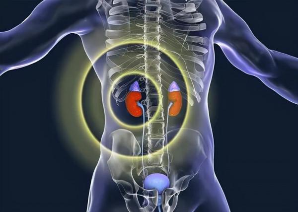 尼泊爾賣腎村:2000元能買一個健康腎,幾乎人人身上都有一道疤 尼泊爾賣腎村:2000元能買一個健康腎,幾乎人人身上都有一道疤