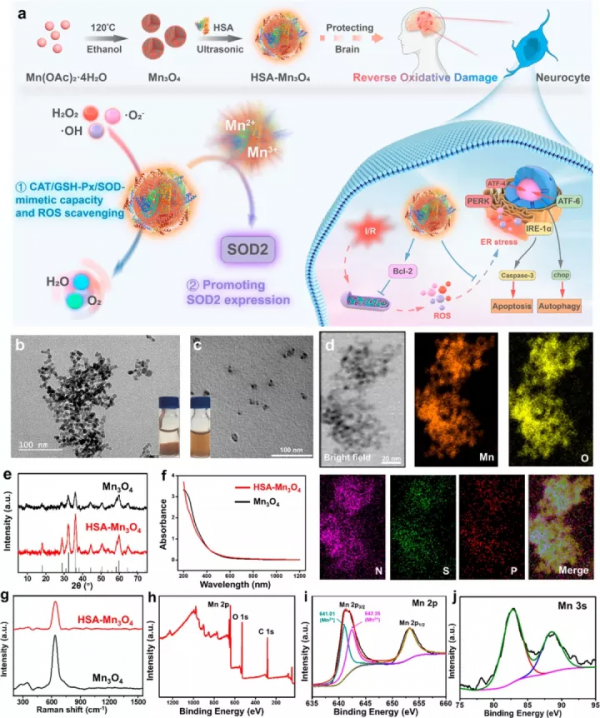 腦科學日報：慢性病對大腦的影響不一般