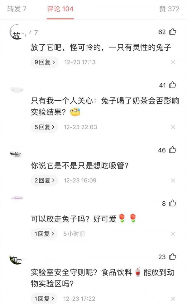 女孩回實驗室後，發現兔子竟然在嘬奶茶吸管：也太可愛了吧？