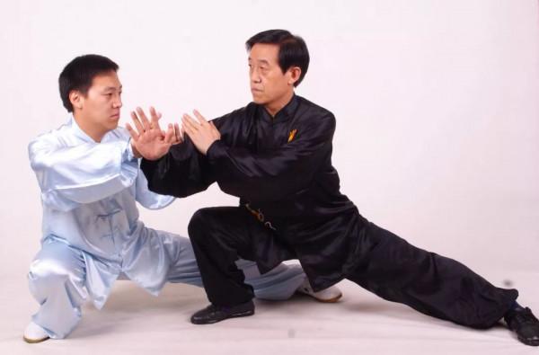 太極推手“要點不要面”指哪些“點”？