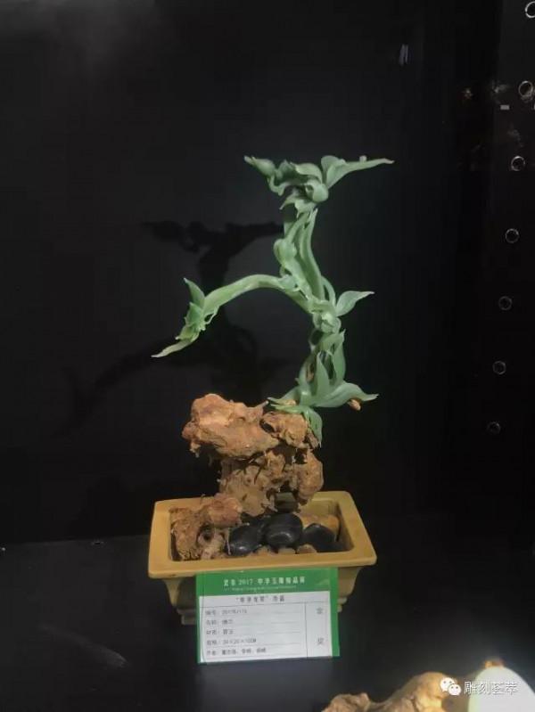 中囯“天工獎”（2008）