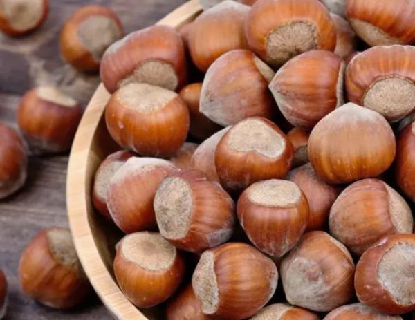 堅果之王榛子 補脾益氣