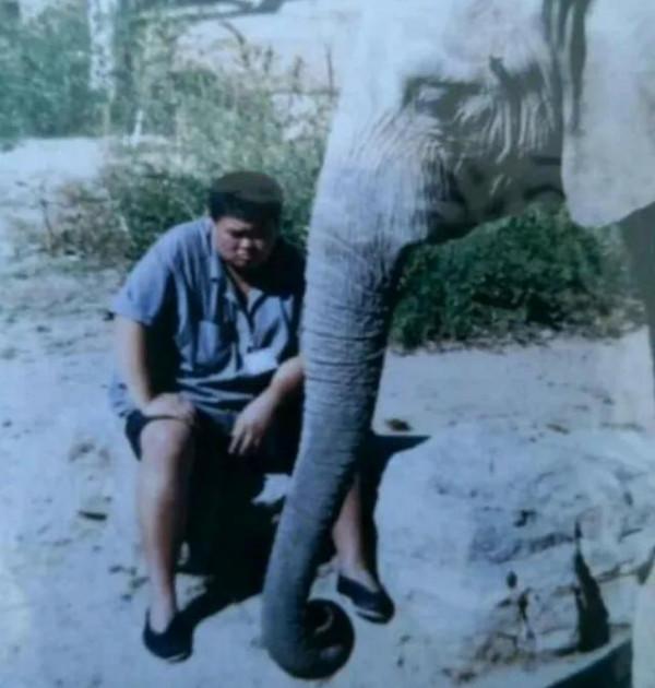 孫越養的大象怎麼樣了？