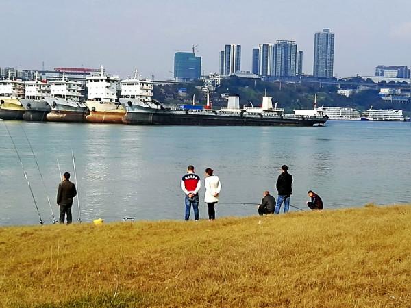 為漁而不為魚，釣魚是一種修行