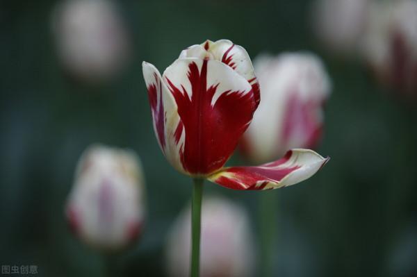 人與人之間,真正舒服的關係是:不越界 人與人之間,真正舒服的關係是:不越界