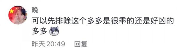 寵物店崩潰日常：太多“多多”了，你是哪家的多多