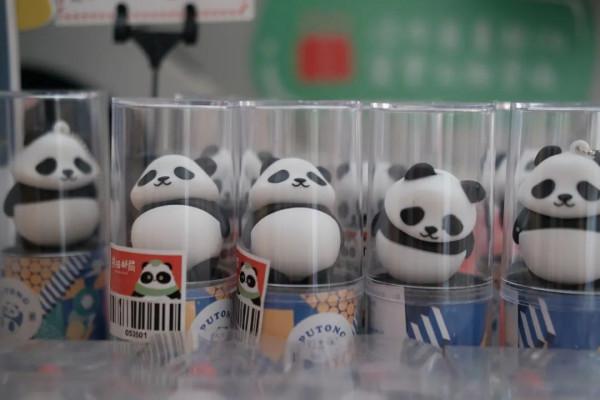 我一下午在成都戳了105個章 我一下午在成都戳了105個章