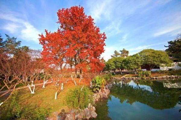 在長三角一體化示範區,尋找秋天的色彩 在長三角一體化示範區,尋找秋天的色彩