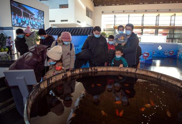 元旦假期，中國園林博物館木海觀魚吸引遊客