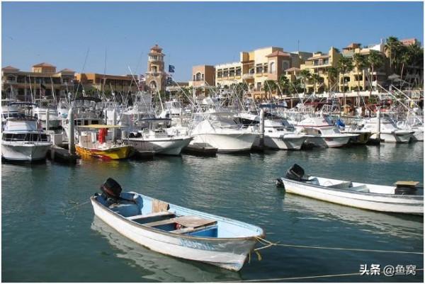 英國小姐姐是這麼看深海釣的