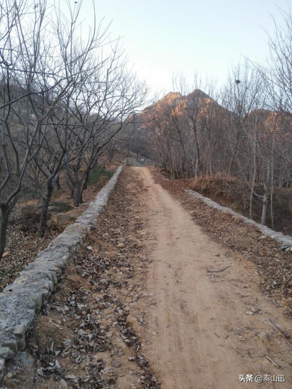 冬至驢行泰山之黃石崖，老平臺，映霞峰，桃花峪東西穿越