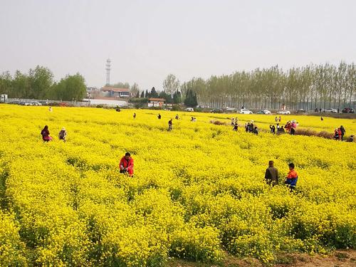 近代衰弱的中國依然保住了龐大的領土，奠定了今天民族復興的基礎